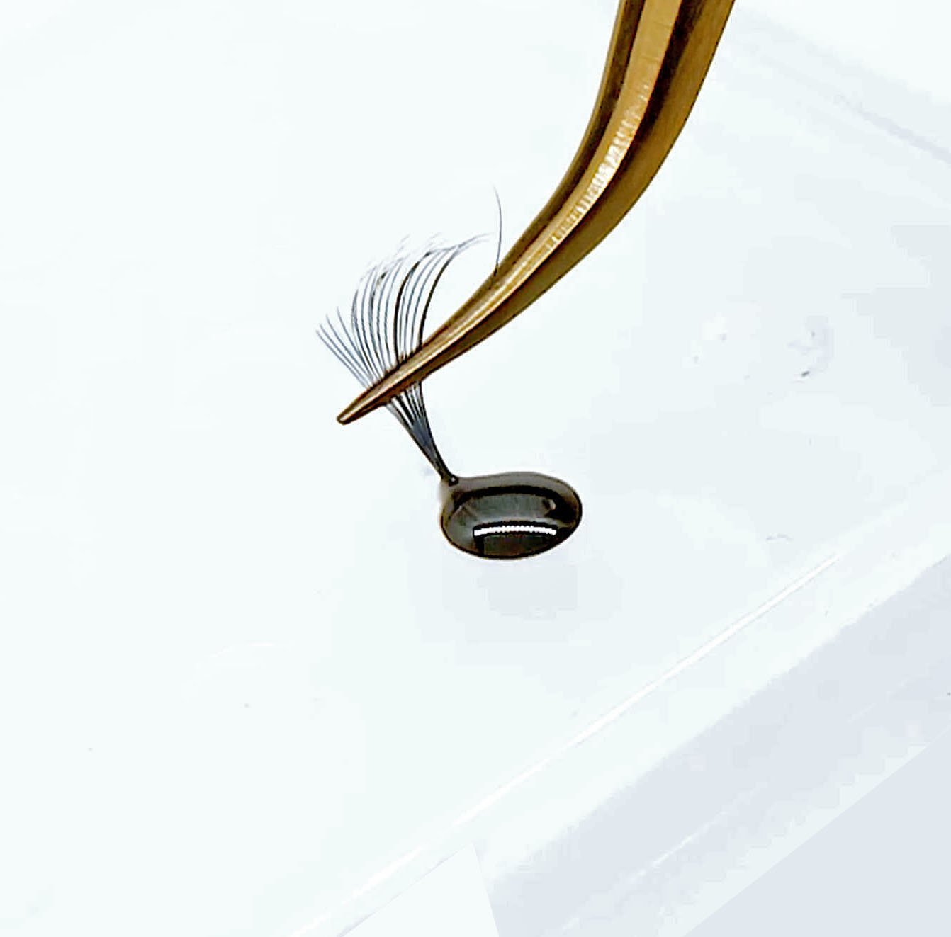 Volume Expert Glue Tray 5 pieces