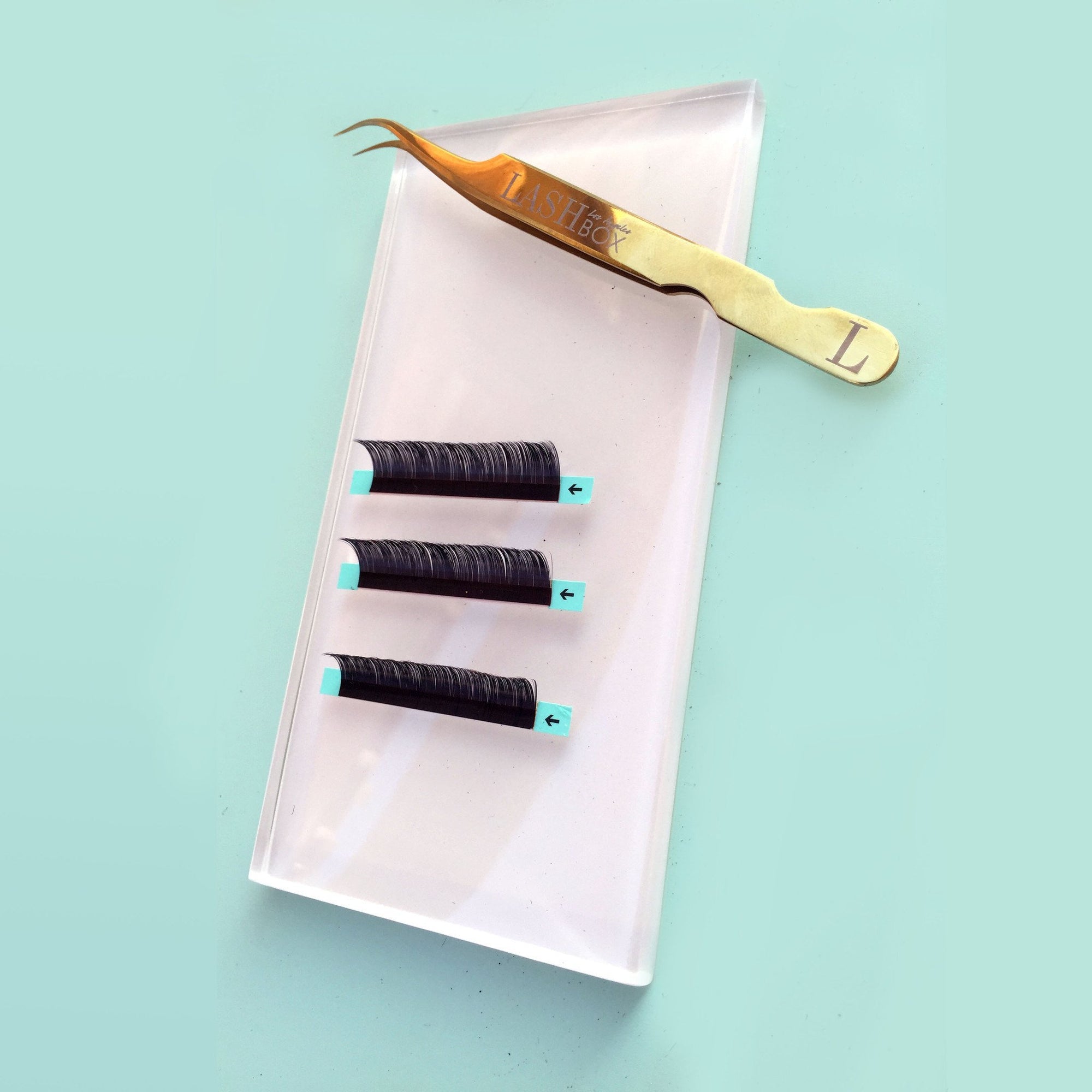 Lash Holder / Palette